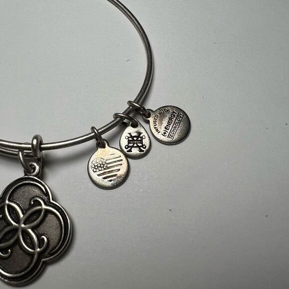Alex and Ani Breath of Life Charm Bangle - Rafaelian Silver Finish - Picture 2 of 7